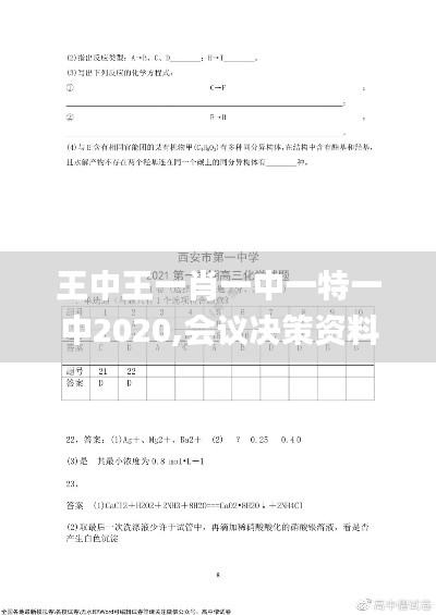 王中王一肖一中一特一中2020,会议决策资料_XIM4.58