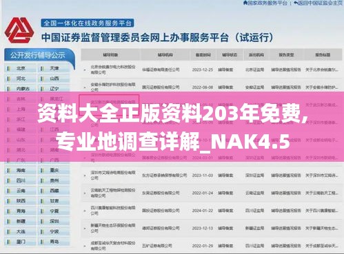 资料大全正版资料203年免费,专业地调查详解_NAK4.5