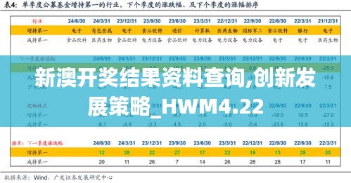 新澳开奖结果资料查询,创新发展策略_HWM4.22