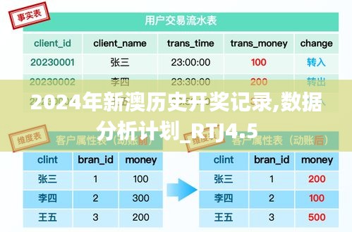 2024年新澳历史开奖记录,数据分析计划_RTJ4.5