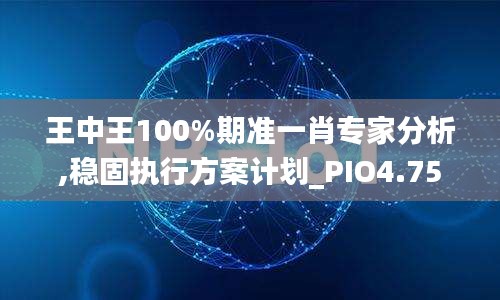 王中王100%期准一肖专家分析,稳固执行方案计划_PIO4.75