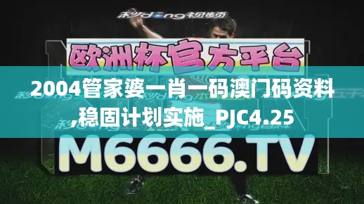 2004管家婆一肖一码澳门码资料,稳固计划实施_PJC4.25