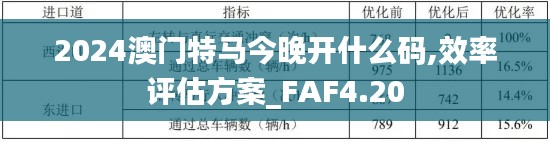 2024澳门特马今晚开什么码,效率评估方案_FAF4.20