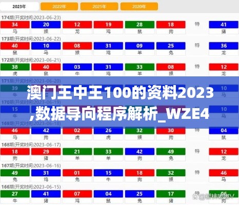 澳门王中王100的资料2023,数据导向程序解析_WZE4.59