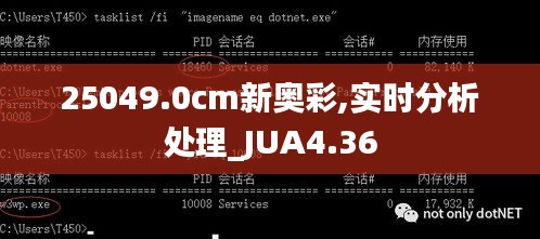 25049.0cm新奥彩,实时分析处理_JUA4.36