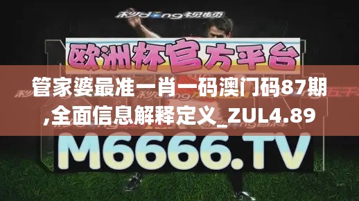 管家婆最准一肖一码澳门码87期,全面信息解释定义_ZUL4.89