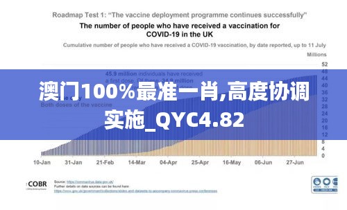 澳门100%最准一肖,高度协调实施_QYC4.82