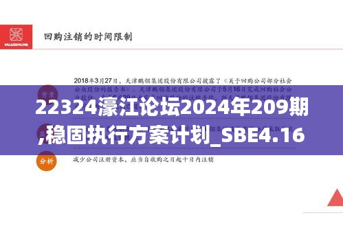 22324濠江论坛2024年209期,稳固执行方案计划_SBE4.16