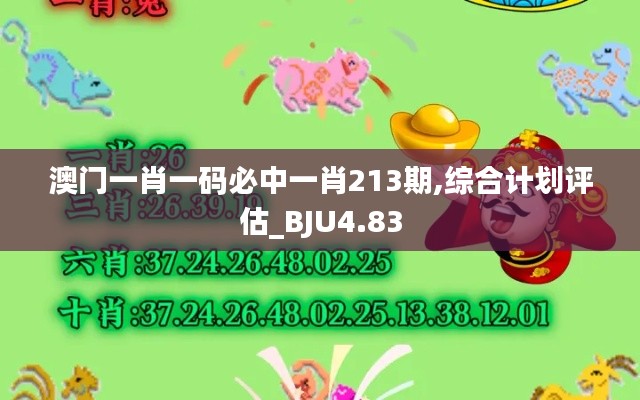 澳门一肖一码必中一肖213期,综合计划评估_BJU4.83