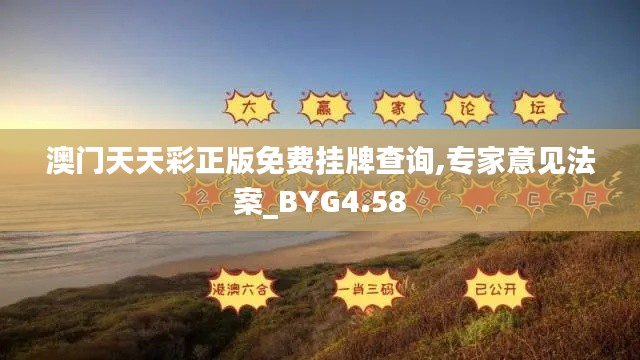 澳门天天彩正版免费挂牌查询,专家意见法案_BYG4.58