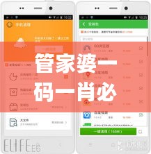 管家婆一码一肖必开,策略优化计划_GNI4.39