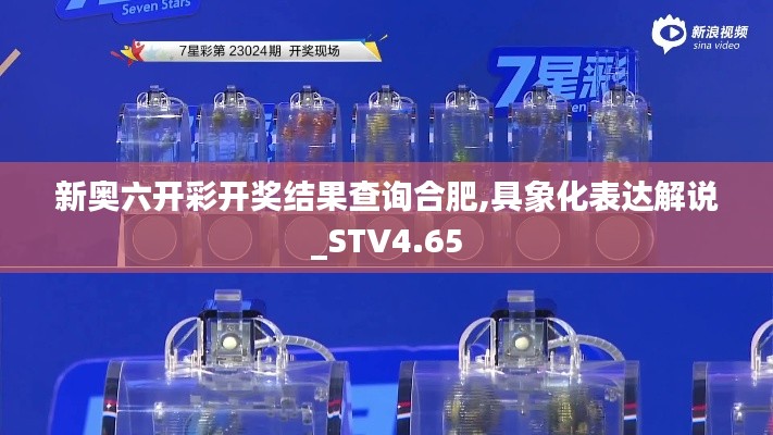 新奥六开彩开奖结果查询合肥,具象化表达解说_STV4.65