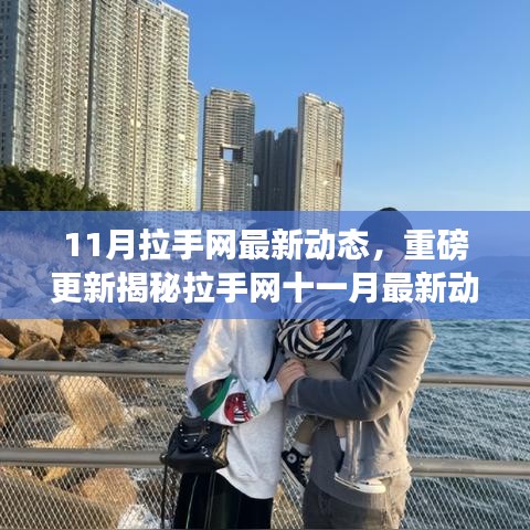 拉手网十一月最新动态揭秘，重磅更新引领行业新潮流