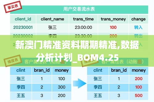 新澳门精准资料期期精准,数据分析计划_BOM4.25