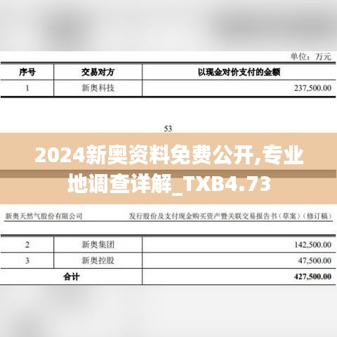 2024新奥资料免费公开,专业地调查详解_TXB4.73