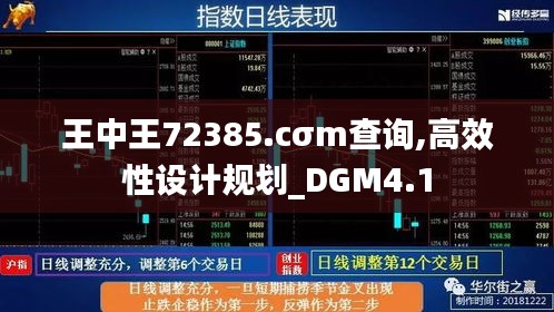 王中王72385.cσm查询,高效性设计规划_DGM4.1