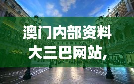 澳门内部资料大三巴网站,社会责任法案实施_WSW4.68