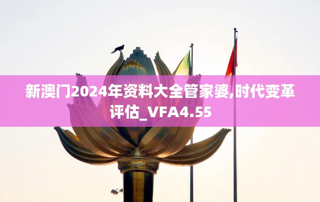 新澳门2024年资料大全管家婆,时代变革评估_VFA4.55