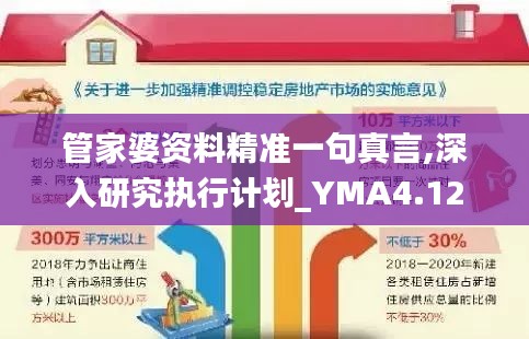 管家婆资料精准一句真言,深入研究执行计划_YMA4.12