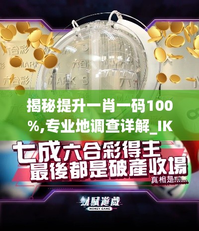 揭秘提升一肖一码100%,专业地调查详解_IKU4.11