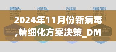 2024年11月份新病毒,精细化方案决策_DMR4.61