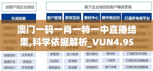 澳门一码一肖一特一中直播结果,科学依据解析_VUN4.95