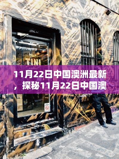 探秘中国澳洲隐藏小巷特色小店，独特环境等你来探索（11月22日最新）