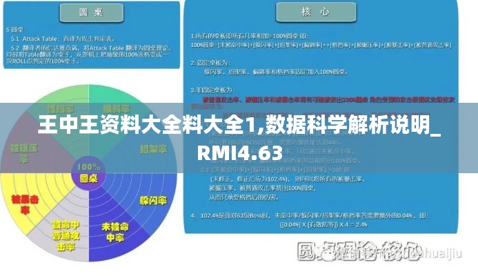 王中王资料大全料大全1,数据科学解析说明_RMI4.63