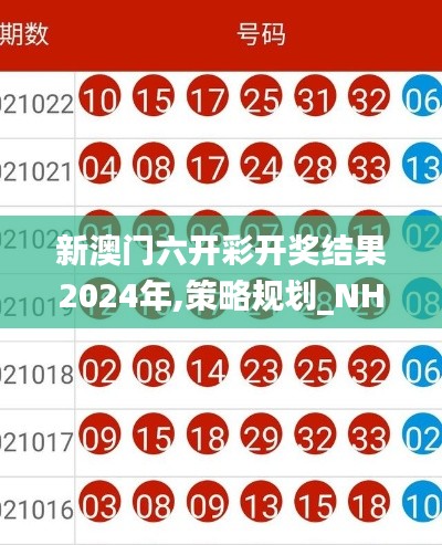 新澳门六开彩开奖结果2024年,策略规划_NHK4.86