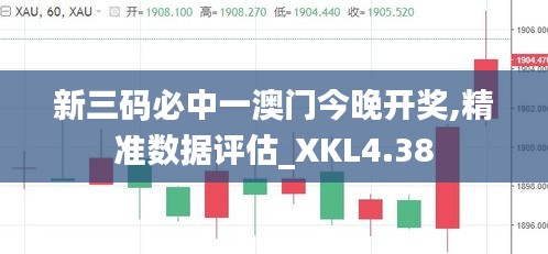 新三码必中一澳门今晚开奖,精准数据评估_XKL4.38