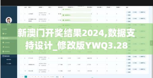 新澳门开奖结果2024,数据支持设计_修改版YWQ3.28