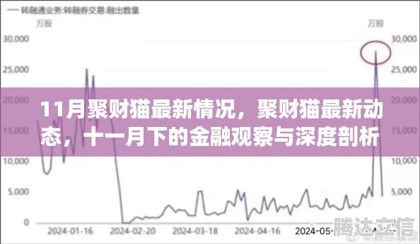 聚财猫最新动态深度剖析，金融观察下的十一月聚财猫最新情况解析