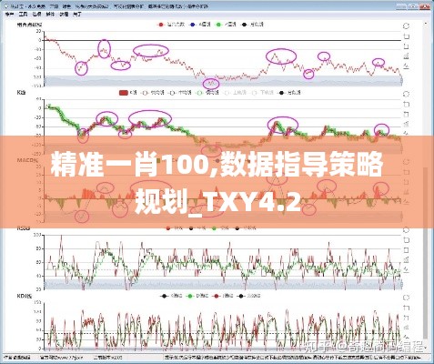 精准一肖100,数据指导策略规划_TXY4.2