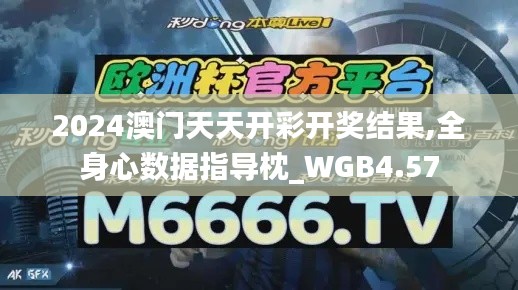 2024澳门天天开彩开奖结果,全身心数据指导枕_WGB4.57