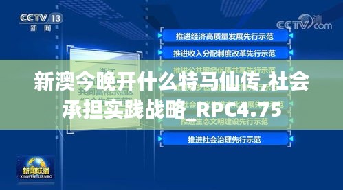 新澳今晚开什么特马仙传,社会承担实践战略_RPC4.75