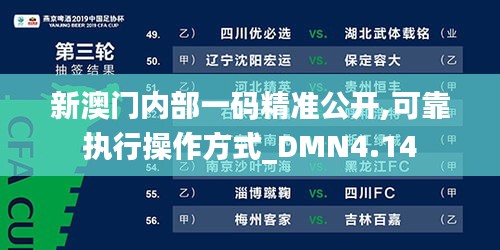 新澳门内部一码精准公开,可靠执行操作方式_DMN4.14