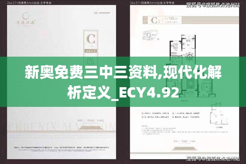 新奥免费三中三资料,现代化解析定义_ECY4.92