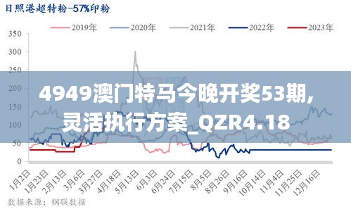 4949澳门特马今晚开奖53期,灵活执行方案_QZR4.18