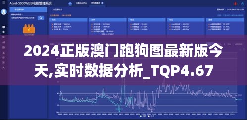 2024正版澳门跑狗图最新版今天,实时数据分析_TQP4.67