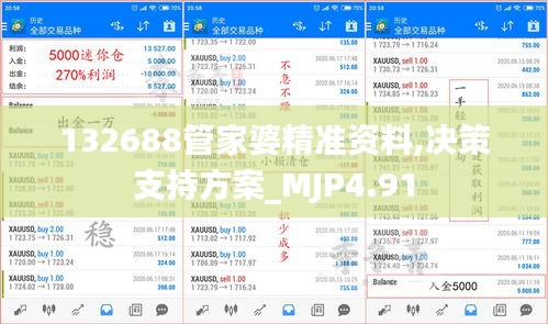 132688管家婆精准资料,决策支持方案_MJP4.91