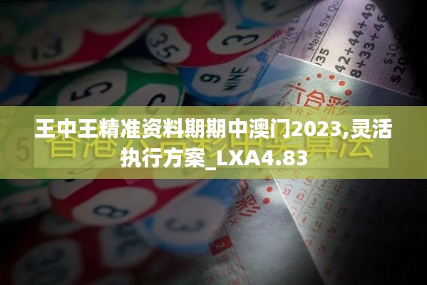 王中王精准资料期期中澳门2023,灵活执行方案_LXA4.83