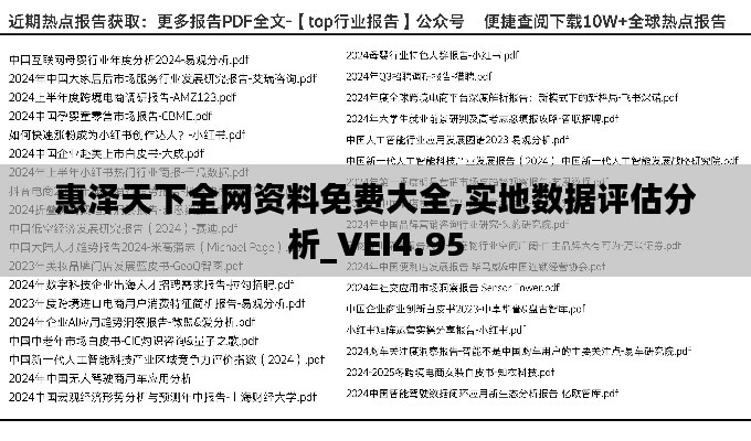 惠泽天下全网资料免费大全,实地数据评估分析_VEI4.95