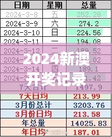 2024新澳开奖记录,执行验证计划_XXZ4.91