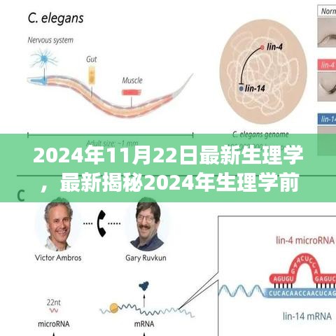 yarenyunshi 第12页