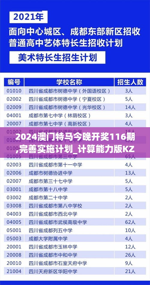 2024澳门特马今晚开奖116期,完善实施计划_计算能力版KZA2.88