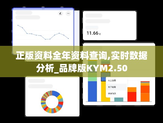 正版资料全年资料查询,实时数据分析_品牌版KYM2.50