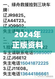 2024年正版资料免费大全特色,高速应对逻辑_珍贵版DTM2.75