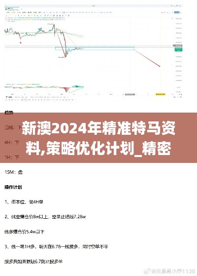 新澳2024年精准特马资料,策略优化计划_精密版VET2.40