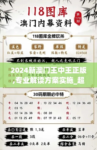 2024新澳门王中王正版,专业解读方案实施_超级版MFY2.35