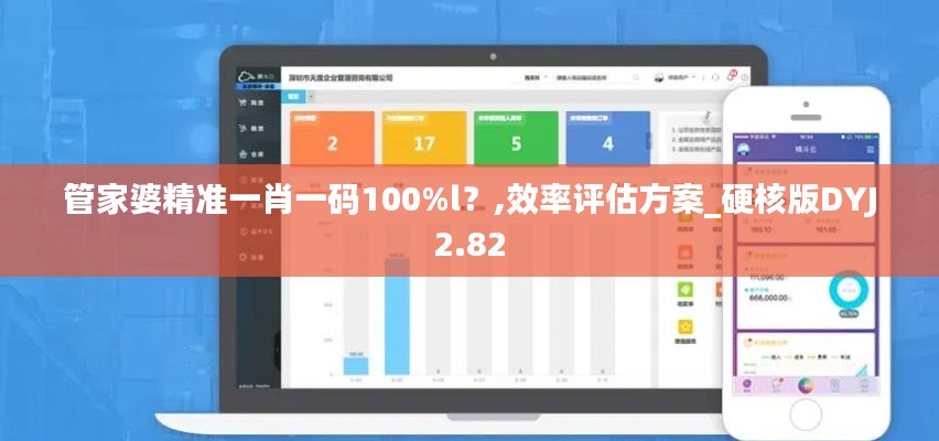 管家婆精准一肖一码100%l？,效率评估方案_硬核版DYJ2.82